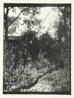 Johann Traugott Zille im Garten beim Obstpflücken