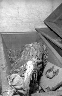 mumifizierte Leiche in einem geöffneten Sarg, vermutlich Gruft in der Alten Garnisonkirche.