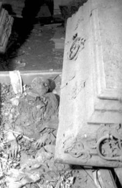 mumifizierte Leiche in einem geöffneten Sarg, vermutlich Gruft in der Alten Garnisonkirche.