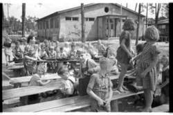 Schüler in einer Waldschule