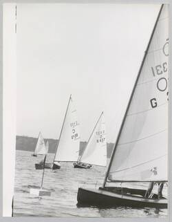 o.T., Segelboote bei einer Regatta auf dem Tegeler See