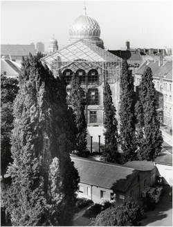 Rückseite Neue Synagoge, Oranienburger Straße 30, vom St. Hedwig Krankenhaus aus