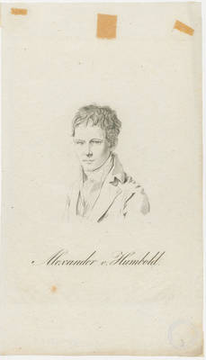 Alexander v. Humbold.