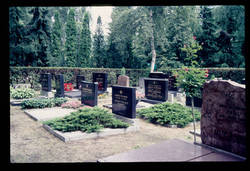 Jüd. Friedhof 2.8.87.