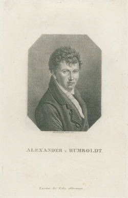 ALEXANDER v. HUMBOLDT.
